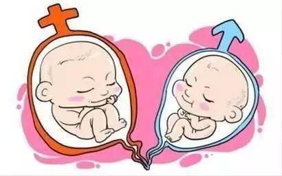 正规供卵代生子